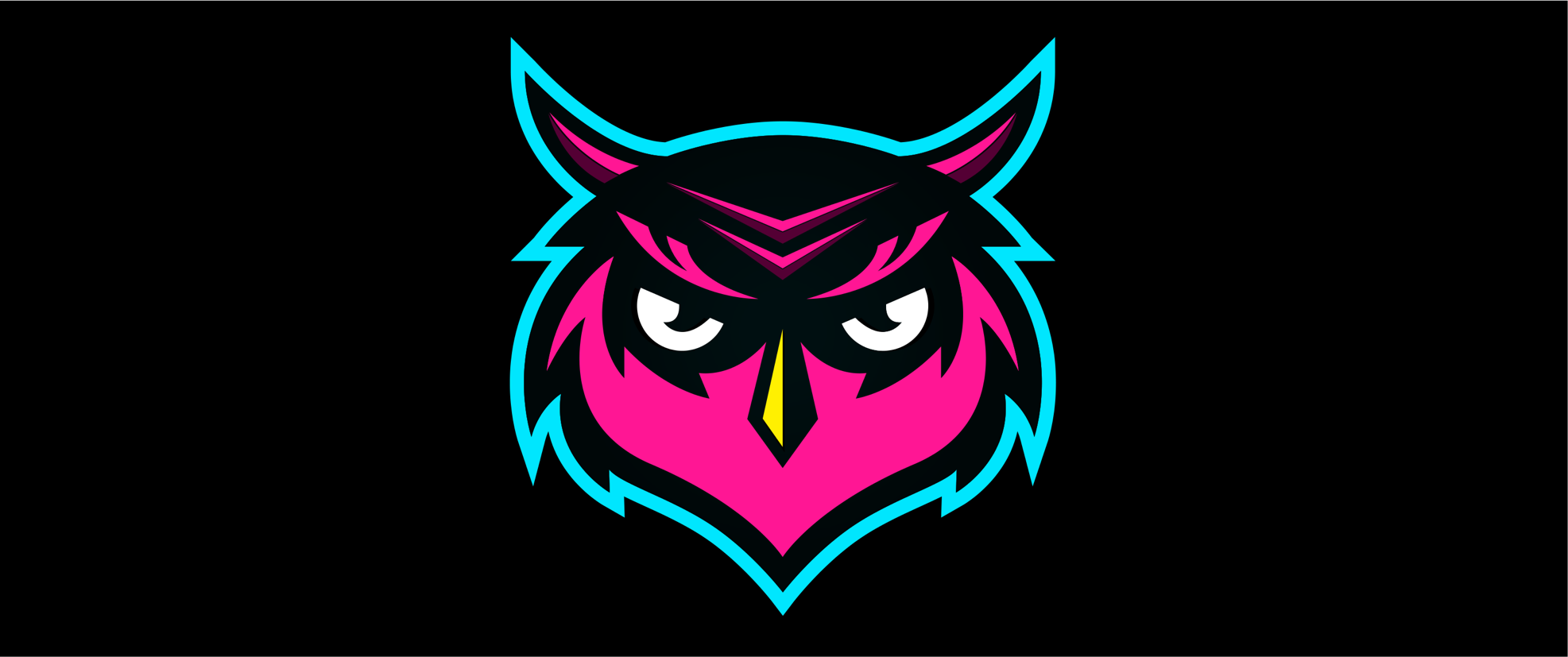 The Math Class logo: a pink and blue owl